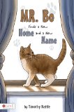 Mr Bo