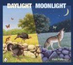 Daylight Moonlight