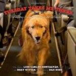 Tuesday Takes Me There